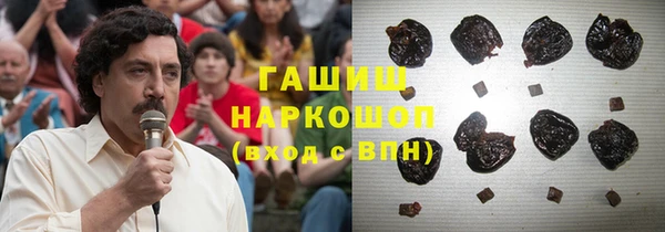 МДПВ Алзамай