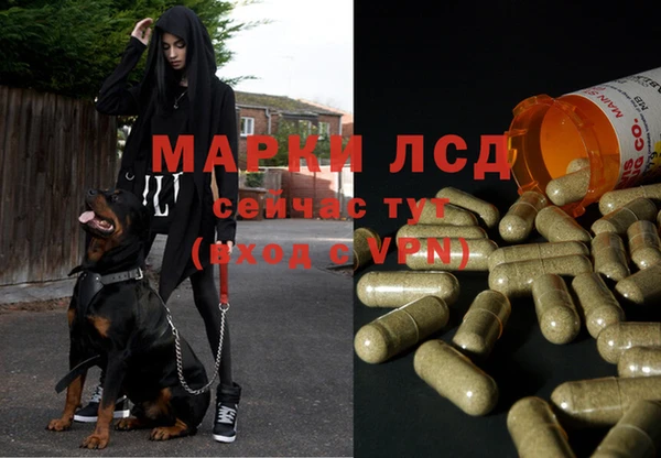 МДПВ Алзамай