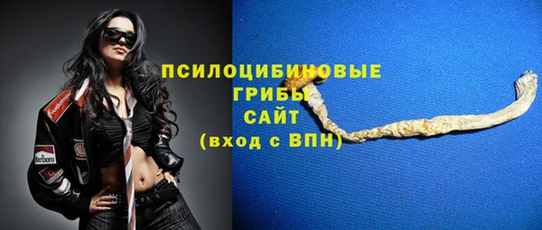 МДПВ Алзамай