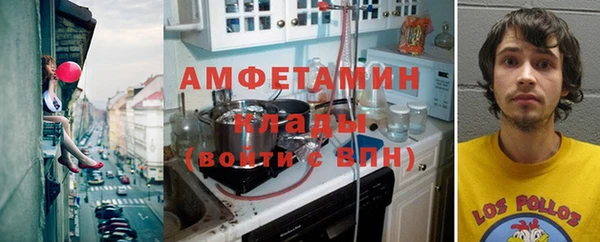 соль ск Алексин