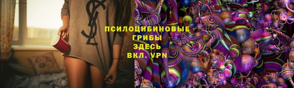 МДПВ Алзамай