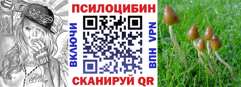 omg зеркало  что такое   Кочубеевское  Псилоцибиновые грибы GOLDEN TEACHER 